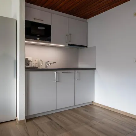 Apartamento Zurschmitten 0 1- Ug Sued Studio- Dusche- Wc 1 Zimmerwohnung- 2-betten By Interhome