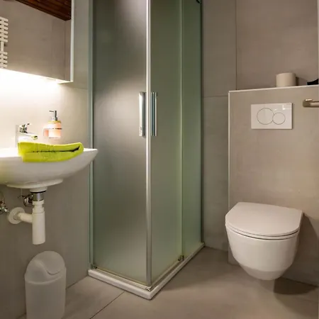 Zurschmitten 0 1- Ug Sued Studio- Dusche- Wc 1 Zimmerwohnung- 2-betten By Interhome * Riederalp
